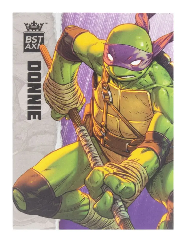 Teenage Mutant Ninja Turtles BST AXN Figurina de acțiune Donatello (IDW Comics) 13 cm poza produsului