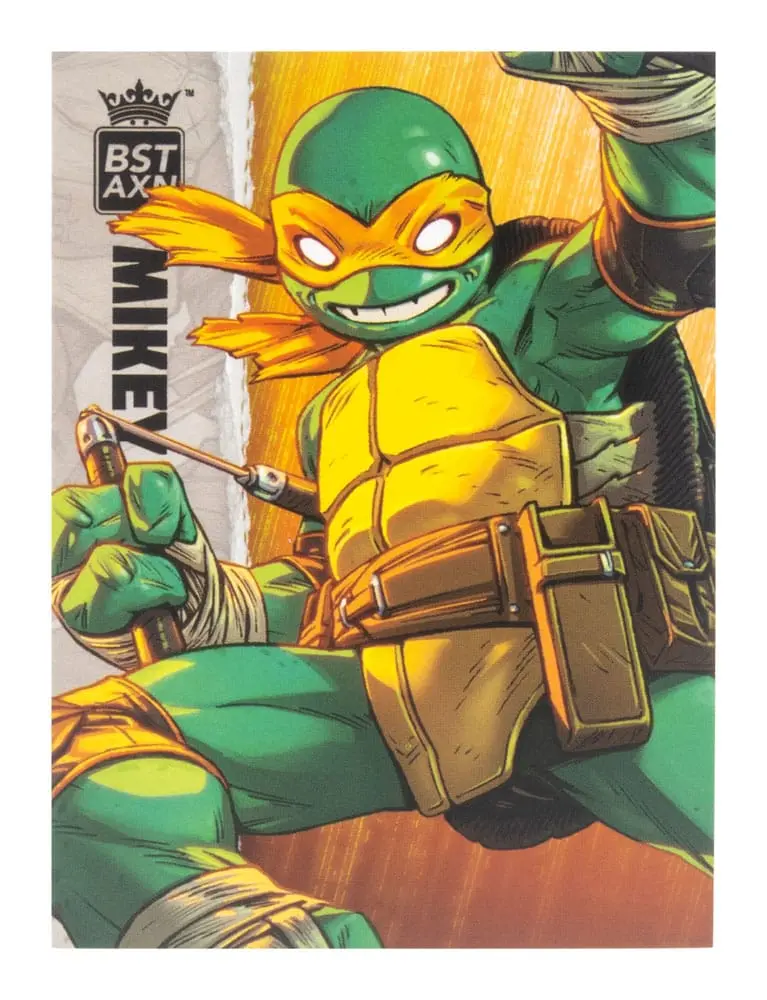 Teenage Mutant Ninja Turtles BST AXN Figurina de actiune Michelangelo (IDW Comics) 13 cm poza produsului