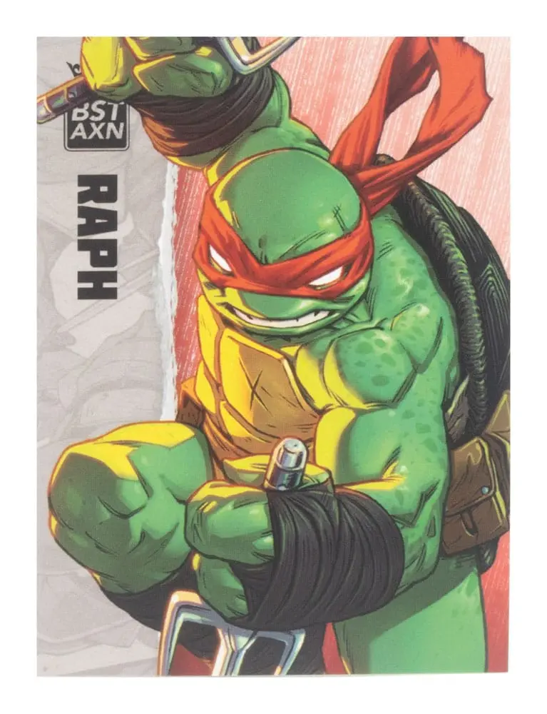 Teenage Mutant Ninja Turtles BST AXN figurină de acțiune Raphael (IDW Comics) 13 cm poza produsului