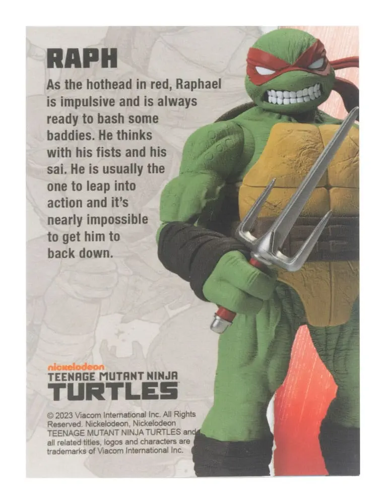 Teenage Mutant Ninja Turtles BST AXN figurină de acțiune Raphael (IDW Comics) 13 cm poza produsului