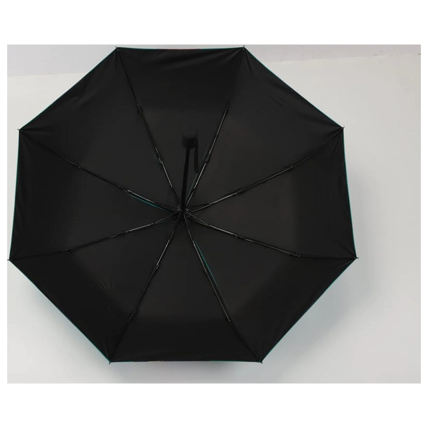 The Apothecary Diaries Umbrelă poza produsului