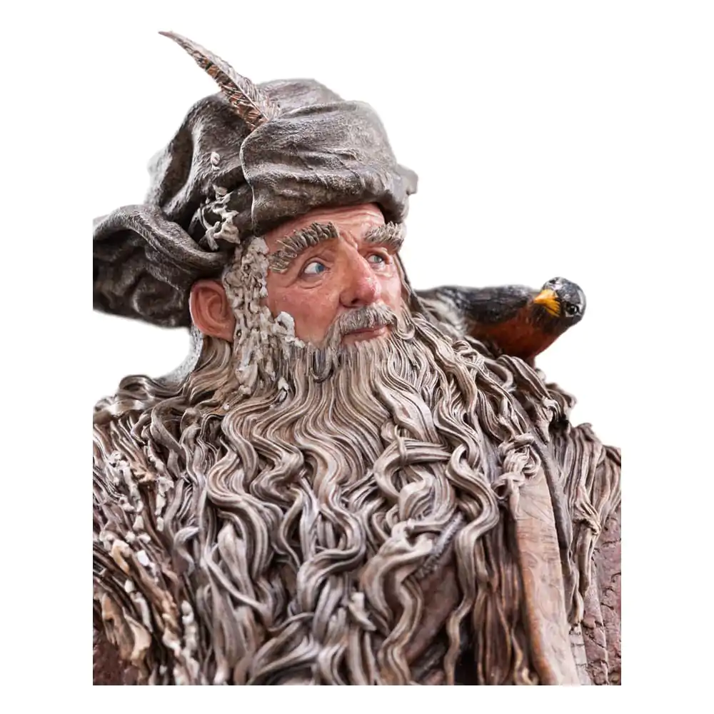 The Lord of the Rings Statuie 1/6 Radagast 30 cm poza produsului