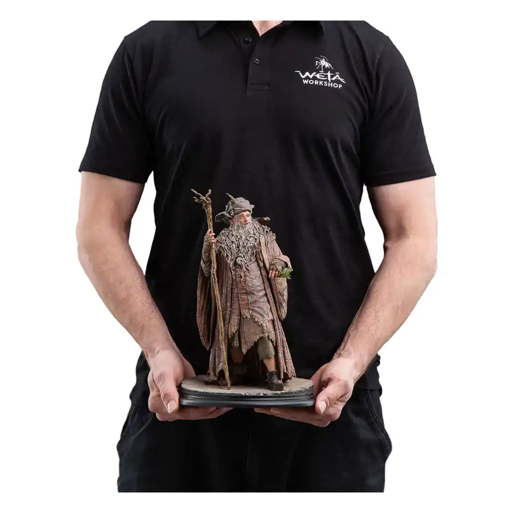 The Lord of the Rings Statuie 1/6 Radagast 30 cm poza produsului