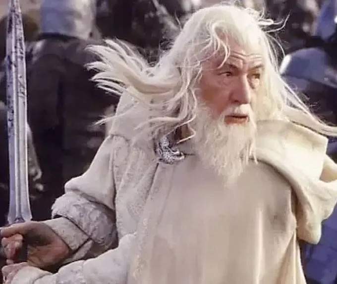 The Lord of the Rings Figures of Fandom Statuie din PVC Gandalf the White 23 cm poza produsului