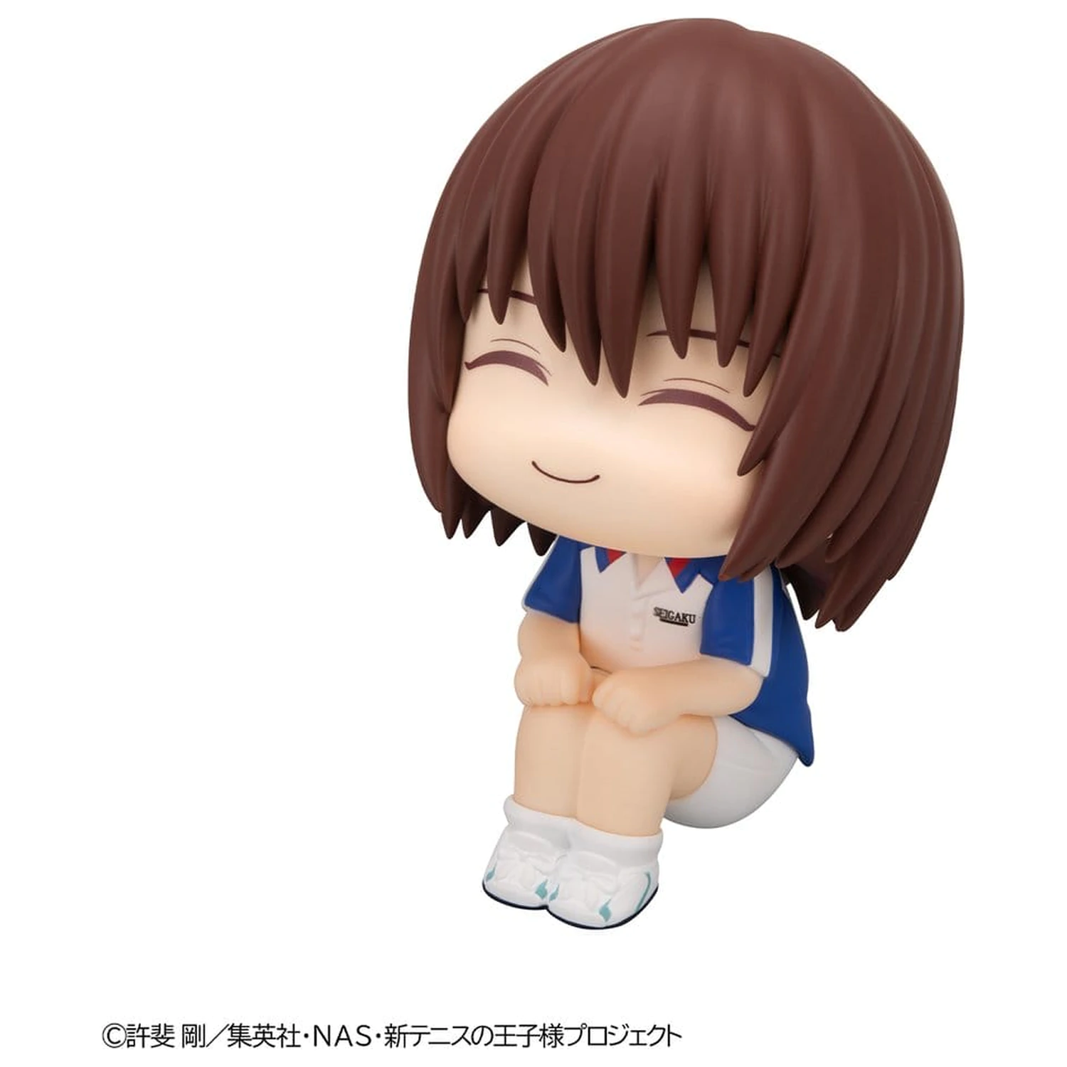 The New Prince of Tennis Look Up Figurina PVC Shusuke Fuji 11 cm poza produsului