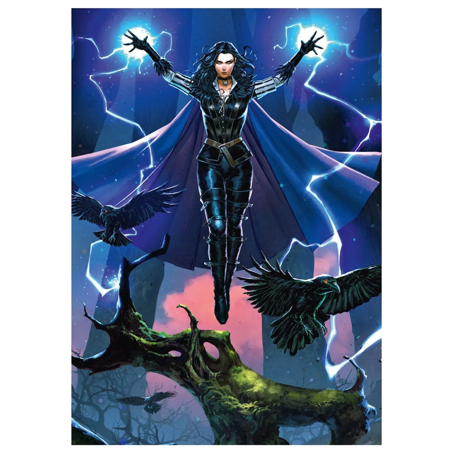 The Witcher Puzzles Pachet de 10 colectie de puzzle-uri aniversare a 10 ani (500 de piese) poza produsului