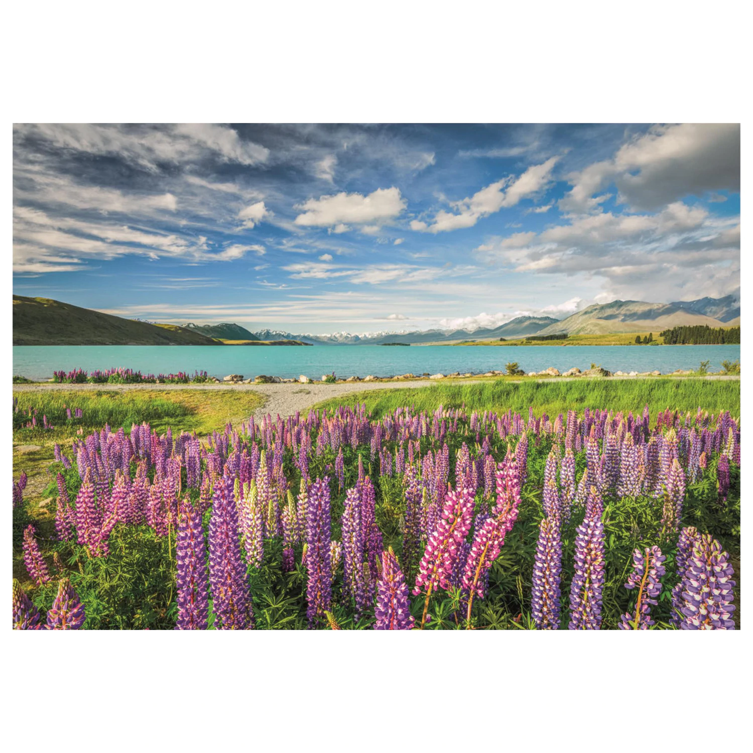 New Zealand Lake Tekapo puzzle de 1500 de piese poza produsului