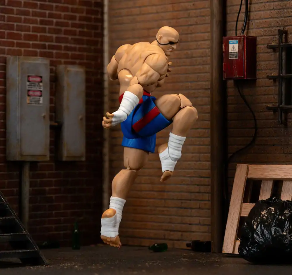 Ultra Street Fighter II: The Final Challengers Figurină de acțiune 1/12 Sagat 19 cm poza produsului