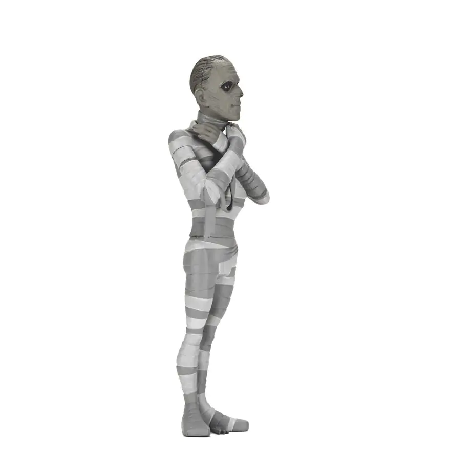 Universal Monsters The Mummy Black & White The Mummy Toony Terrors figurină 15 cm poza produsului