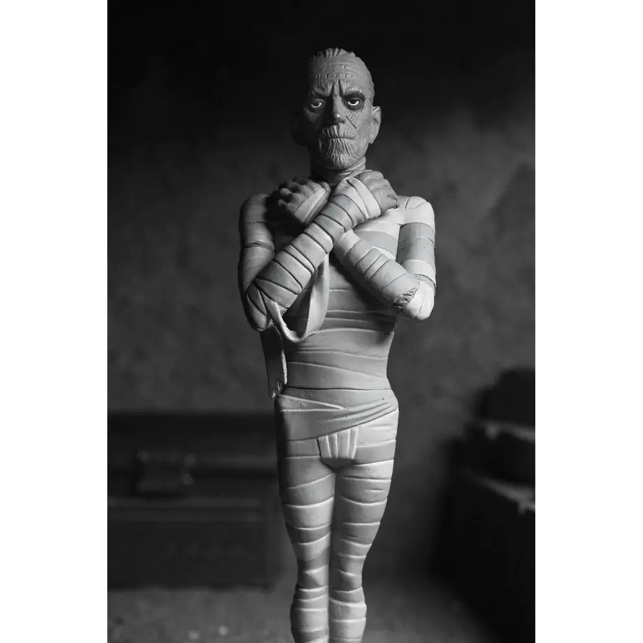 Universal Monsters The Mummy Black & White The Mummy Toony Terrors figurină 15 cm poza produsului