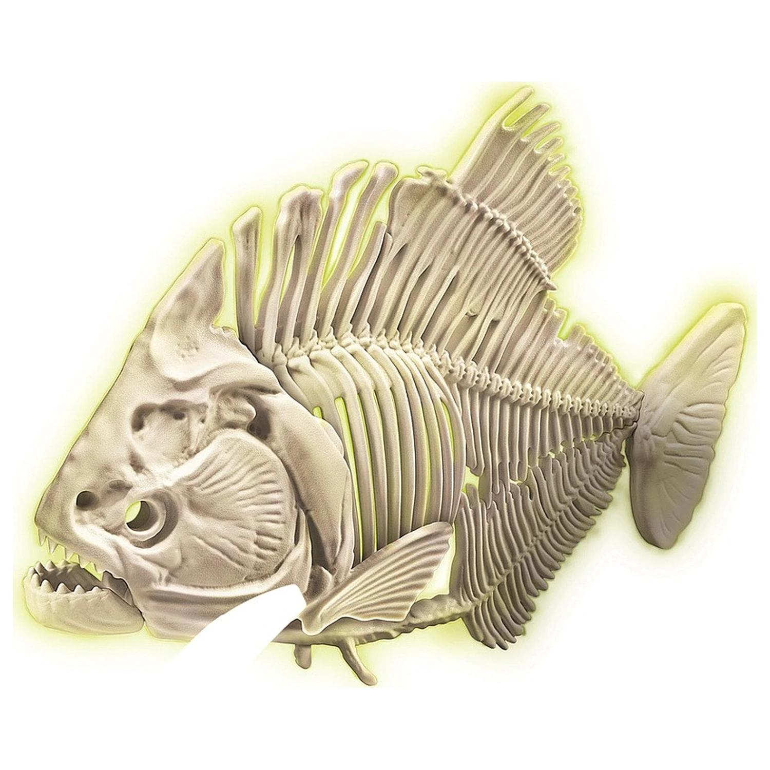 Glowing Piranha Archeo Fun Kit arheologic poza produsului