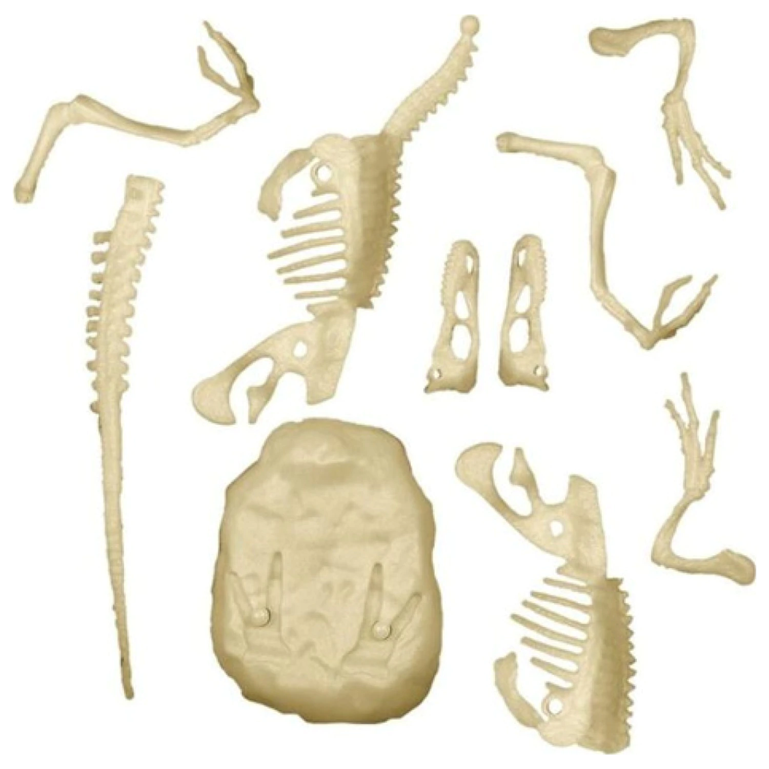 Light-Up Velociraptor Archeo Fun Archaeology Set poza produsului