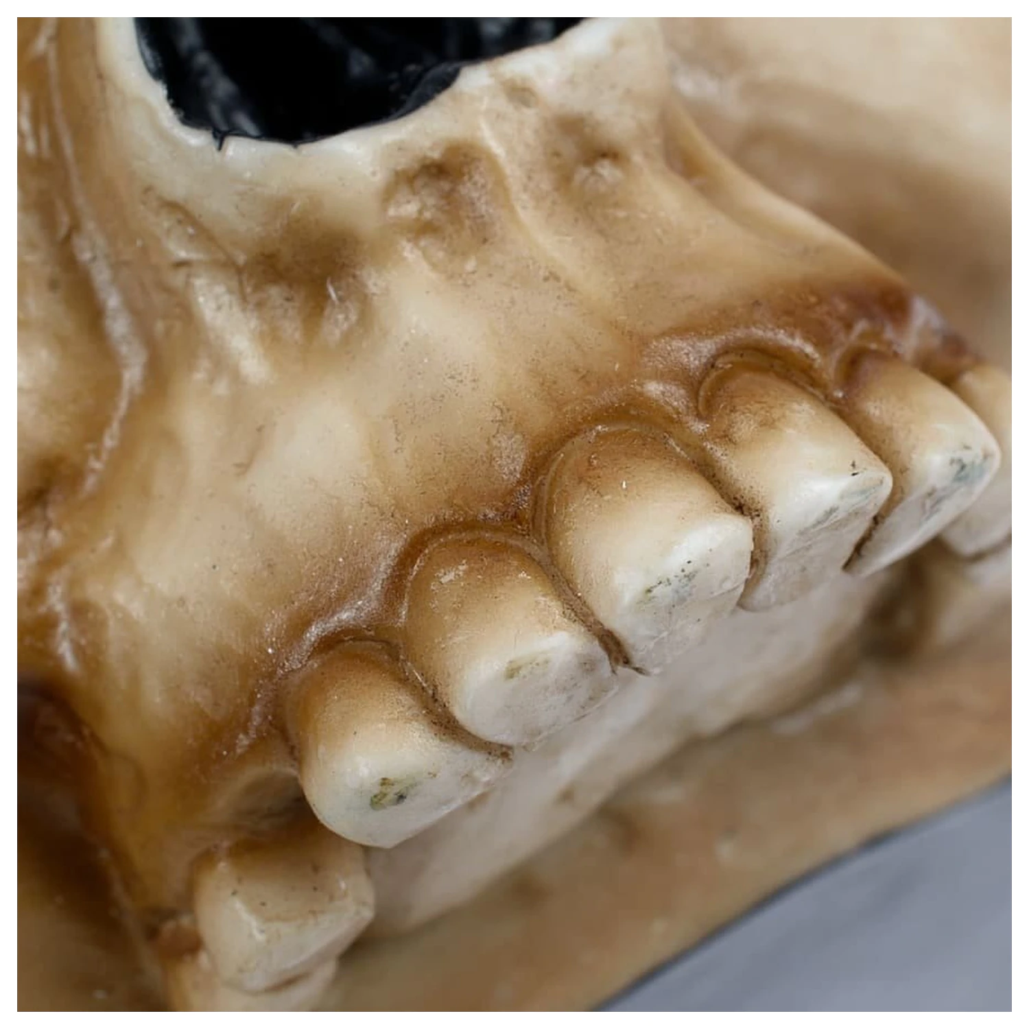 Cana Warhammer 40,000 Servo Skull poza produsului