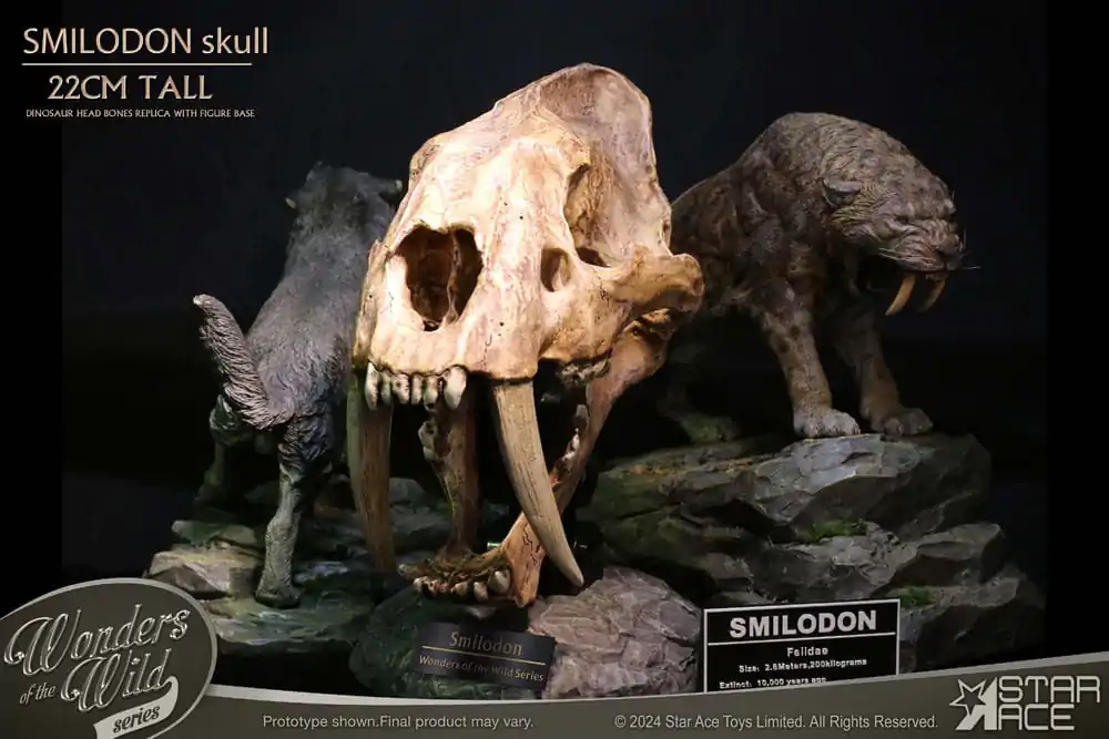 Wonders of the Wild Series Statuie Craniu Smilodon Fosil 22 cm poza produsului