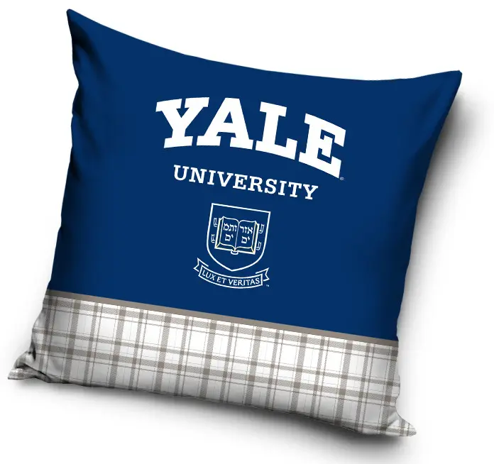 Fata de perna Yale 40*40 cm poza produsului