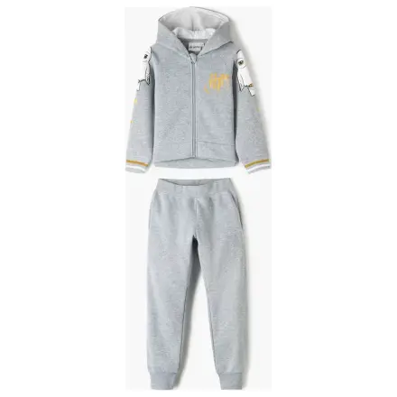 Harry Potter Hedwig Grey Set de trening, Set de jogging pentru copii poza produsului