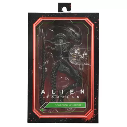 Alien Romulus Scorched Xnomorph figurină Ultimate 23cm termékfotója