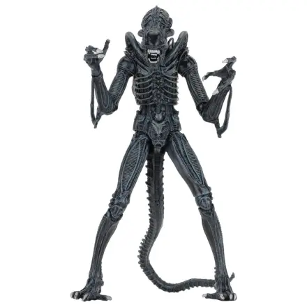 Aliens Ultimate Action Figure Warrior (1986) Blue 23 cm poza produsului