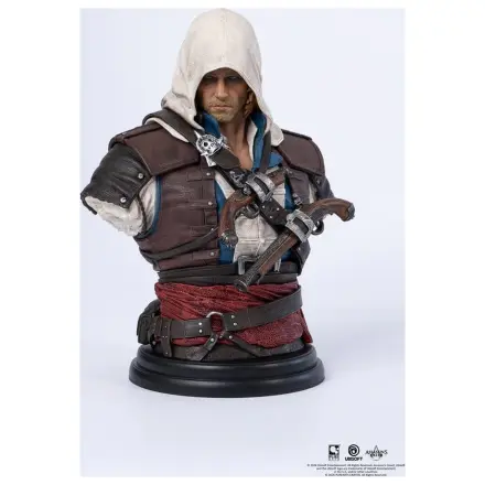 Assassin´s Creed Bust 1/4 Edward poza produsului