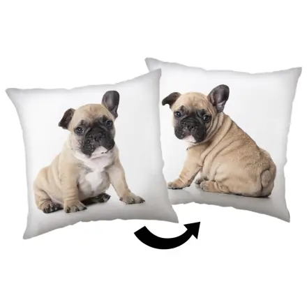 Perna Bulldog poza produsului