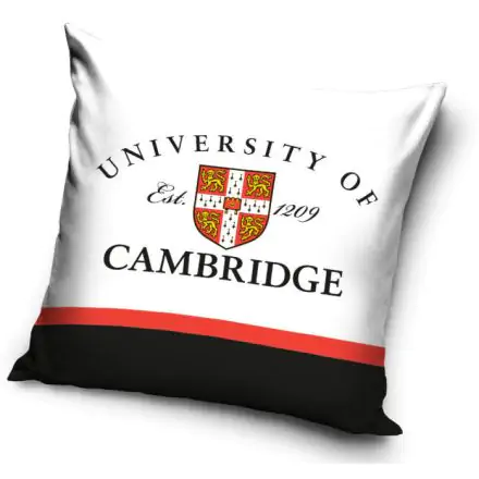 Cambridge Fata de perna 40*40 cm poza produsului