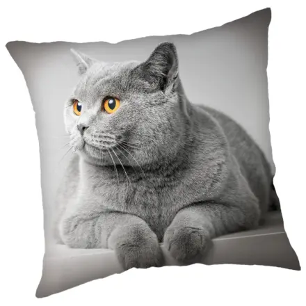 Cats Grey Fata de perna poza produsului