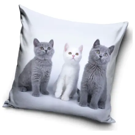 Cat Trio față de pernă poza produsului