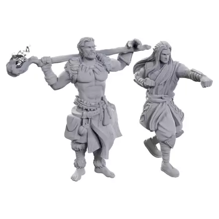 D&D Nolzur's Marvelous Miniatures Miniaturi Nevopsite pachet de 2 bucati Archdruid & Martial Arts Adept poza produsului