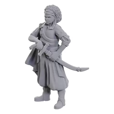 D&D Nolzur's Marvelous Miniatures Figurine Nevopsite Ansalon Human Rogue 10 cm poza produsului