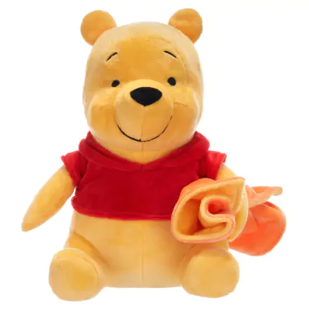 Disney păturică Winnie the Pooh jucărie de pluș 21cm termékfotója