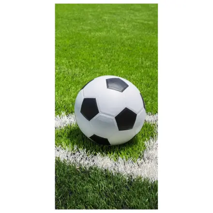 Football Corner Prosop 70x140cm poza produsului
