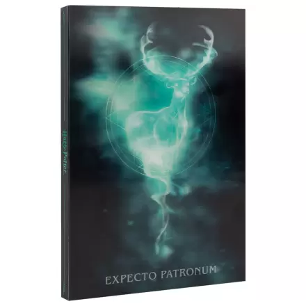 Harry Potter A5 caiet lenticular poza produsului