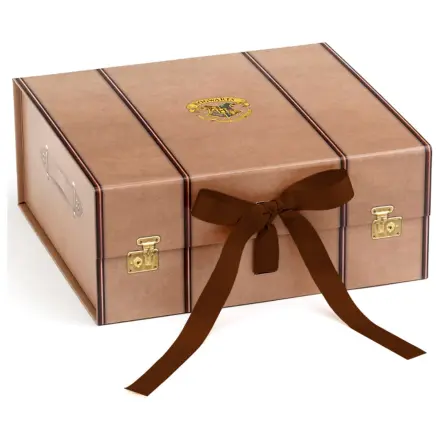 Harry Potter Cufar cutie cadou marime medie poza produsului