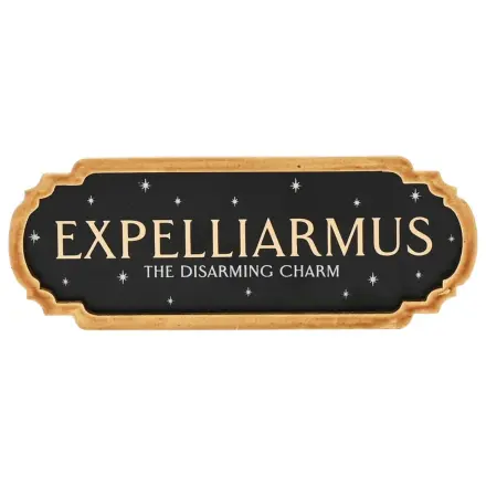 Harry Potter Expelliarmus Decoratiune de perete poza produsului