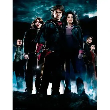 Harry Potter Group poster pe sticla poza produsului