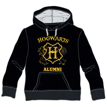 Harry Potter Hogwarts Alumni hanorac copii termékfotója