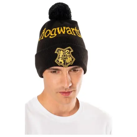 Harry Potter Beanie Hogwarts poza produsului