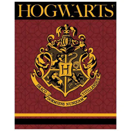 Harry Potter Hogwarts pătura coral premium poza produsului