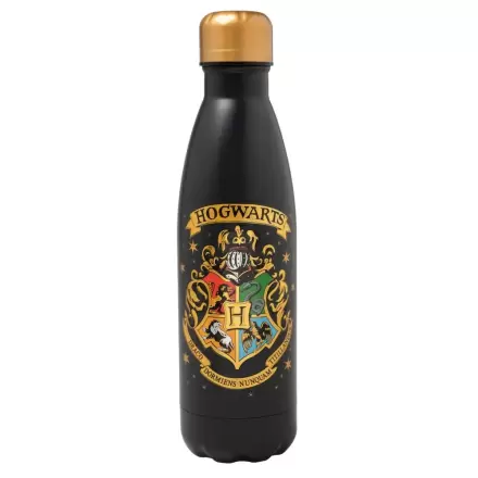 Harry Potter Hogwarts Sticlă inox 500ml termékfotója