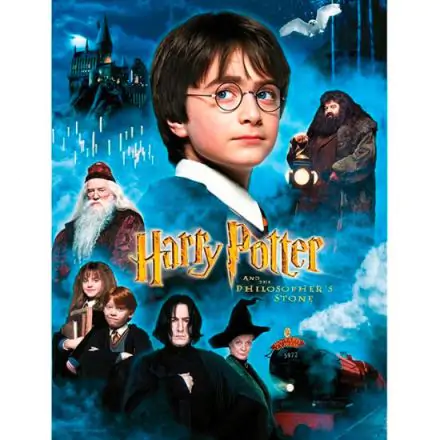 Harry Potter Philosophers Stone poster din sticlă poza produsului