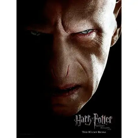 Harry Potter Voldemort Face poster din sticlă poza produsului