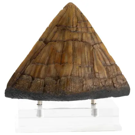 Jurassic Park Statuie Triceratops Spike Prop (Reproducere) 19 cm poza produsului