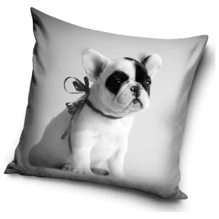 Dog French Bulldog Fata de perna poza produsului