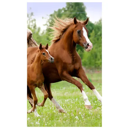 Lovas Career prosop de maini, prosop de fata, prosop poza produsului