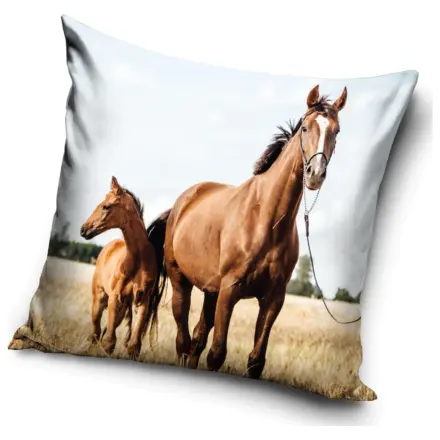 Rider Loyal Hearts Fata de perna poza produsului