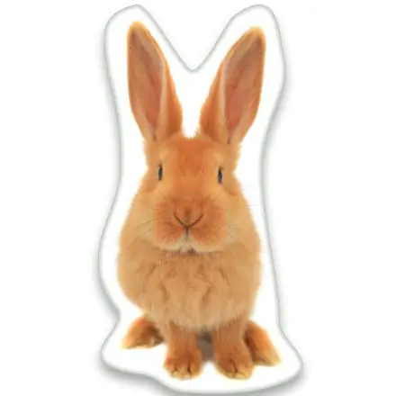 Pernă decorativă în formă de Iepuraș, 22*36 cm poza produsului