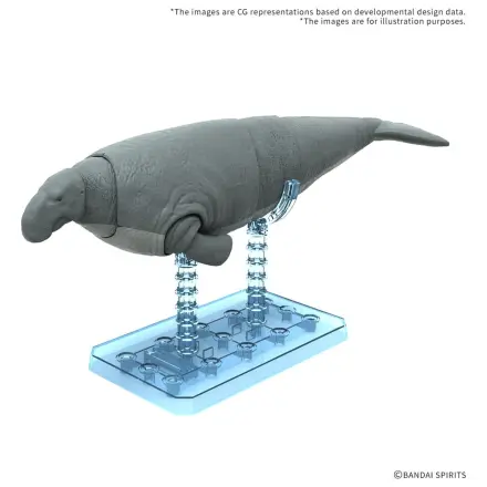 Plannosaurus Hydrodamalis gigas Kit model poza produsului