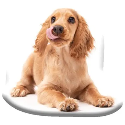 Pernă în formă de Spaniel poza produsului