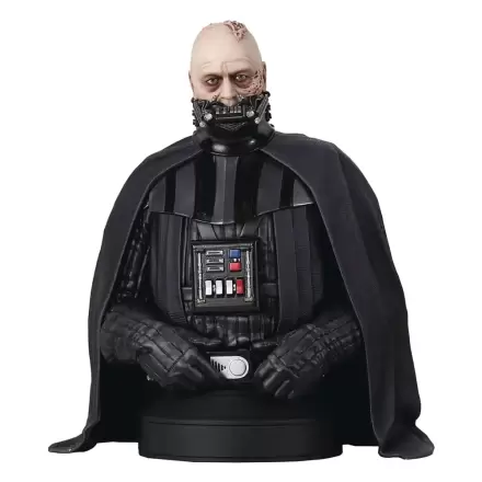 Star Wars Episodul VI Bust 1/6 Darth Vader (fără cască) 15 cm poza produsului