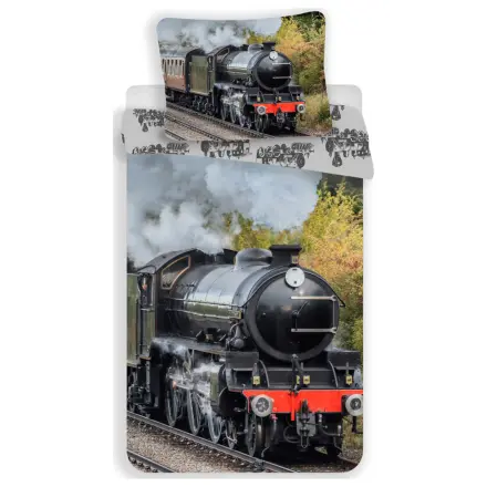 Train Stream Husa de pilota poza produsului